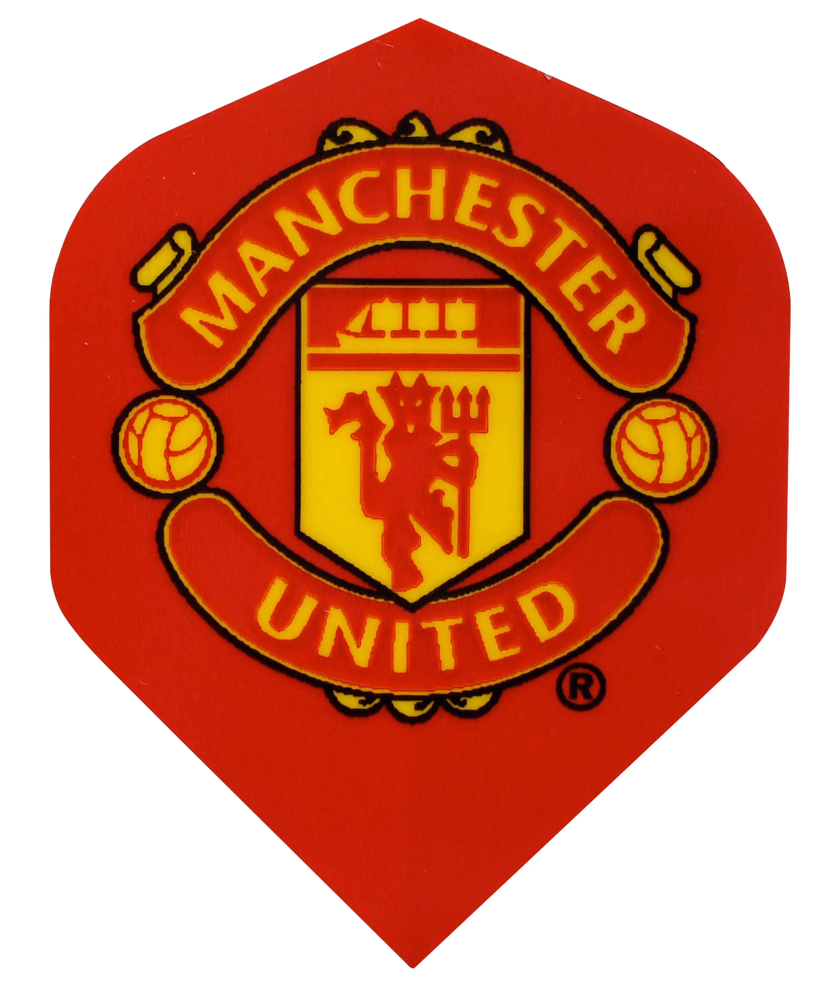 Manchester United Football Club Standard - Image 3