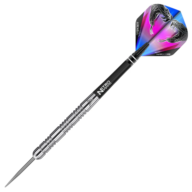 Peter Wright Euro 11 - Image 3
