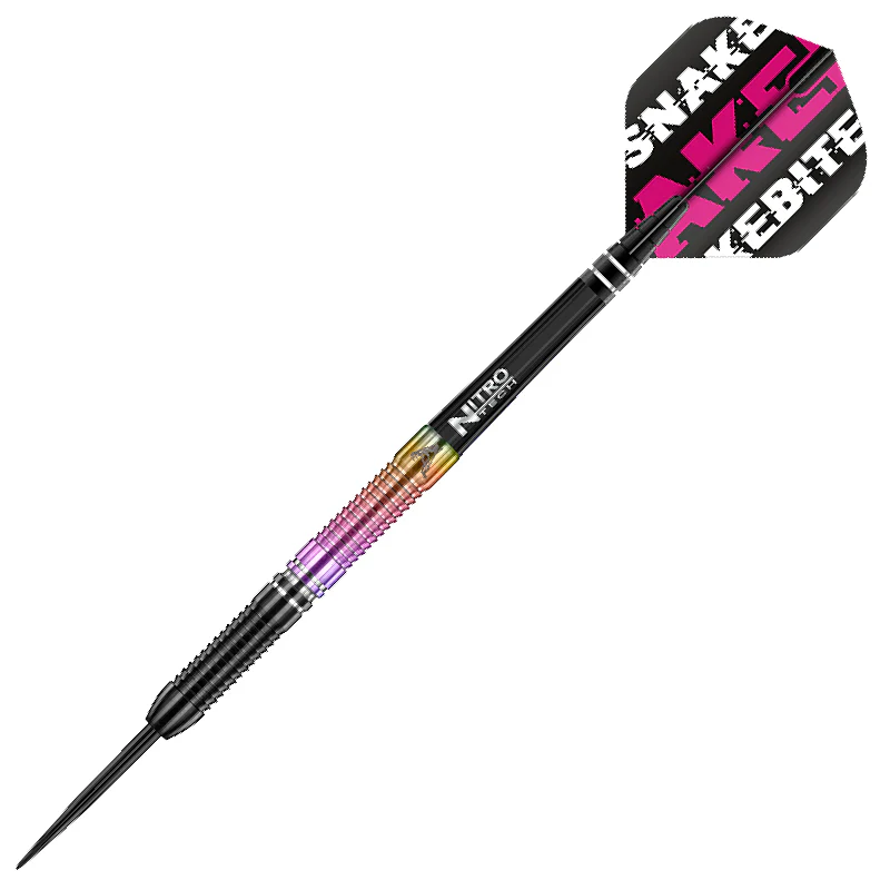 Peter Wright World Champion SE - Image 3
