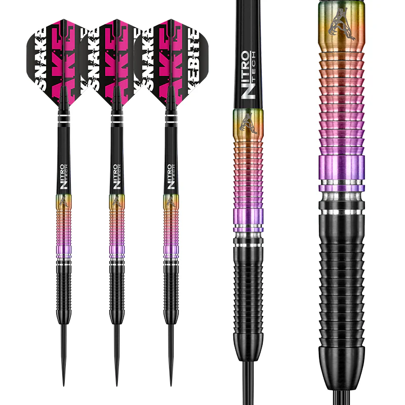 Peter Wright World Champion SE - Image 6