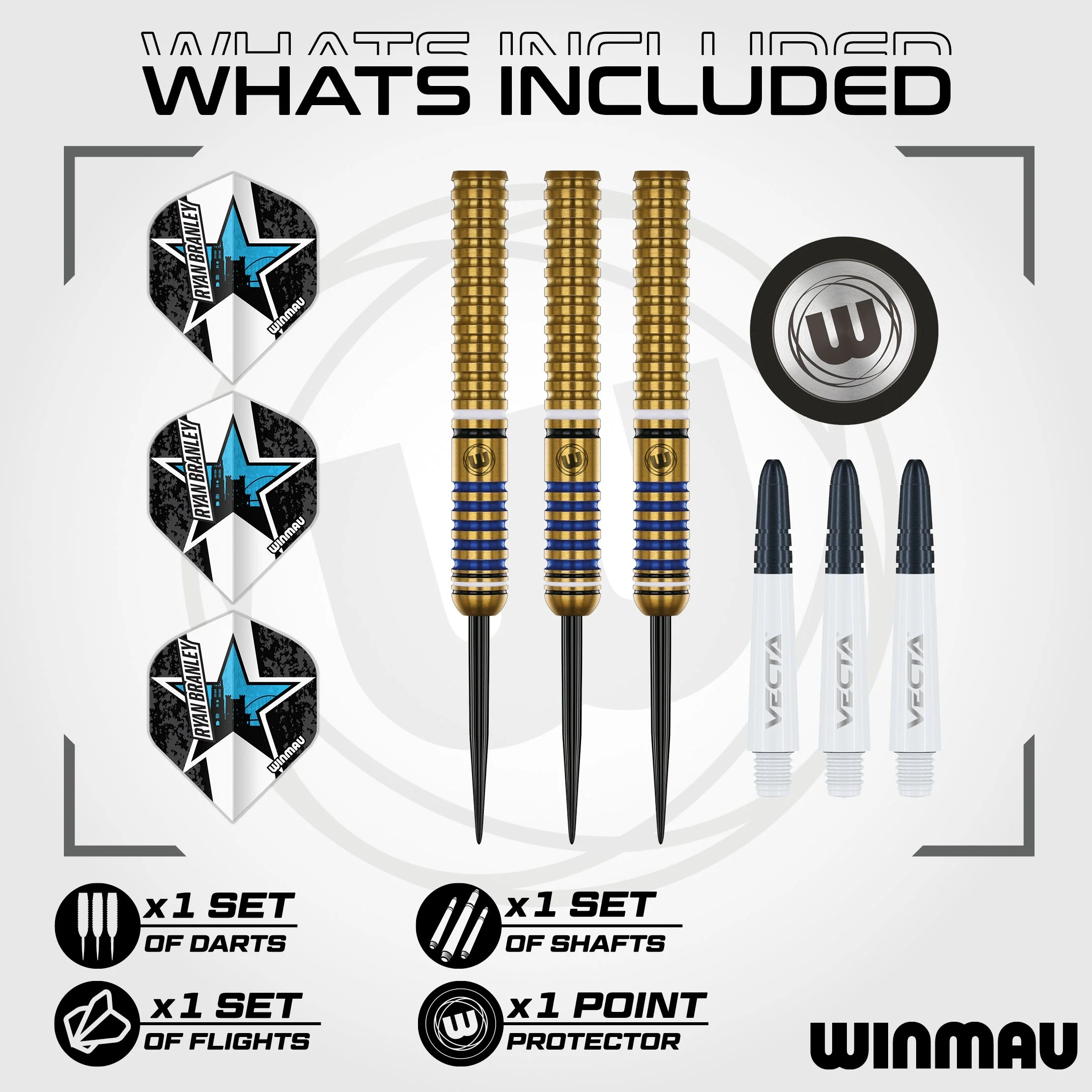 Ryan Branley Darts - Image 2