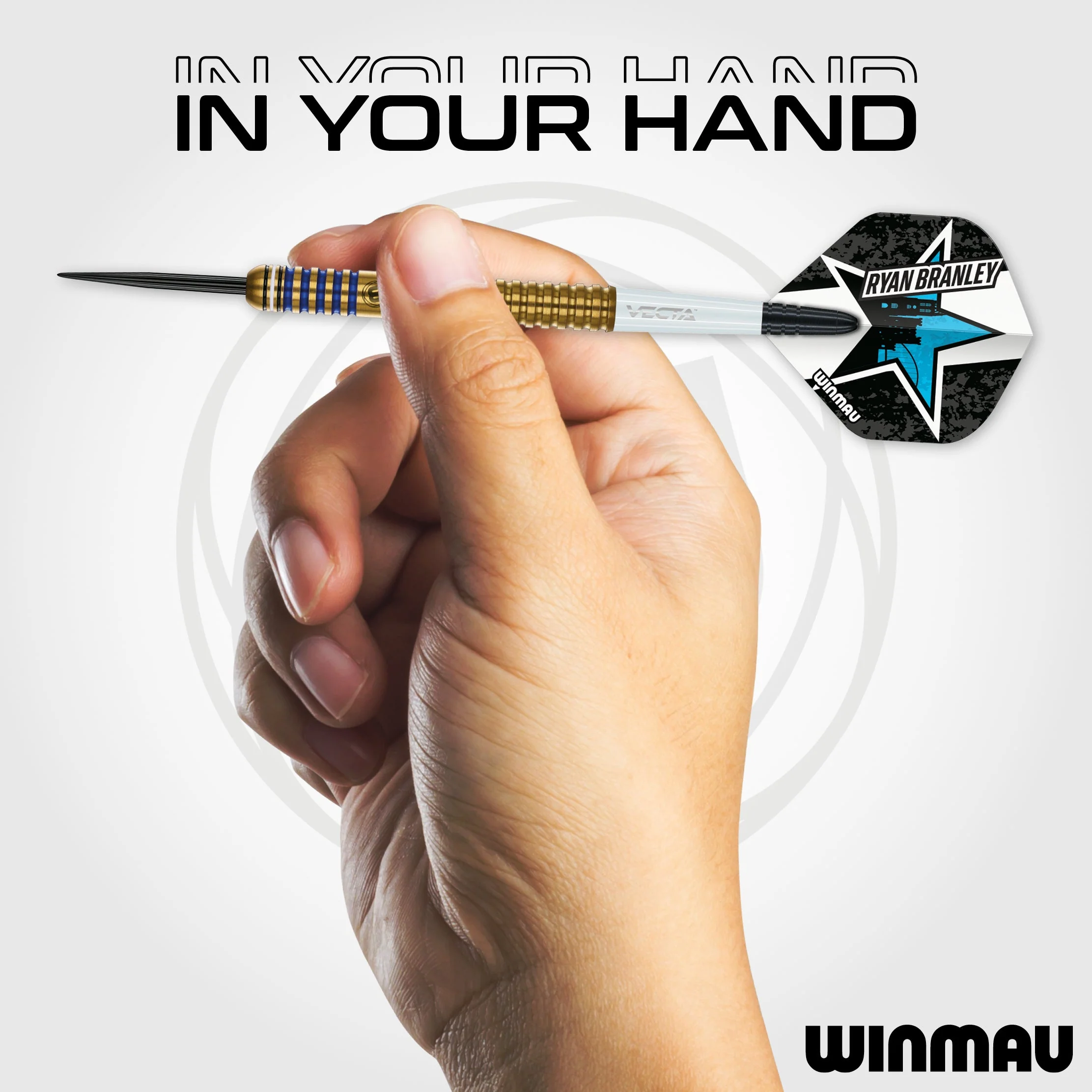 Ryan Branley Darts - Image 4