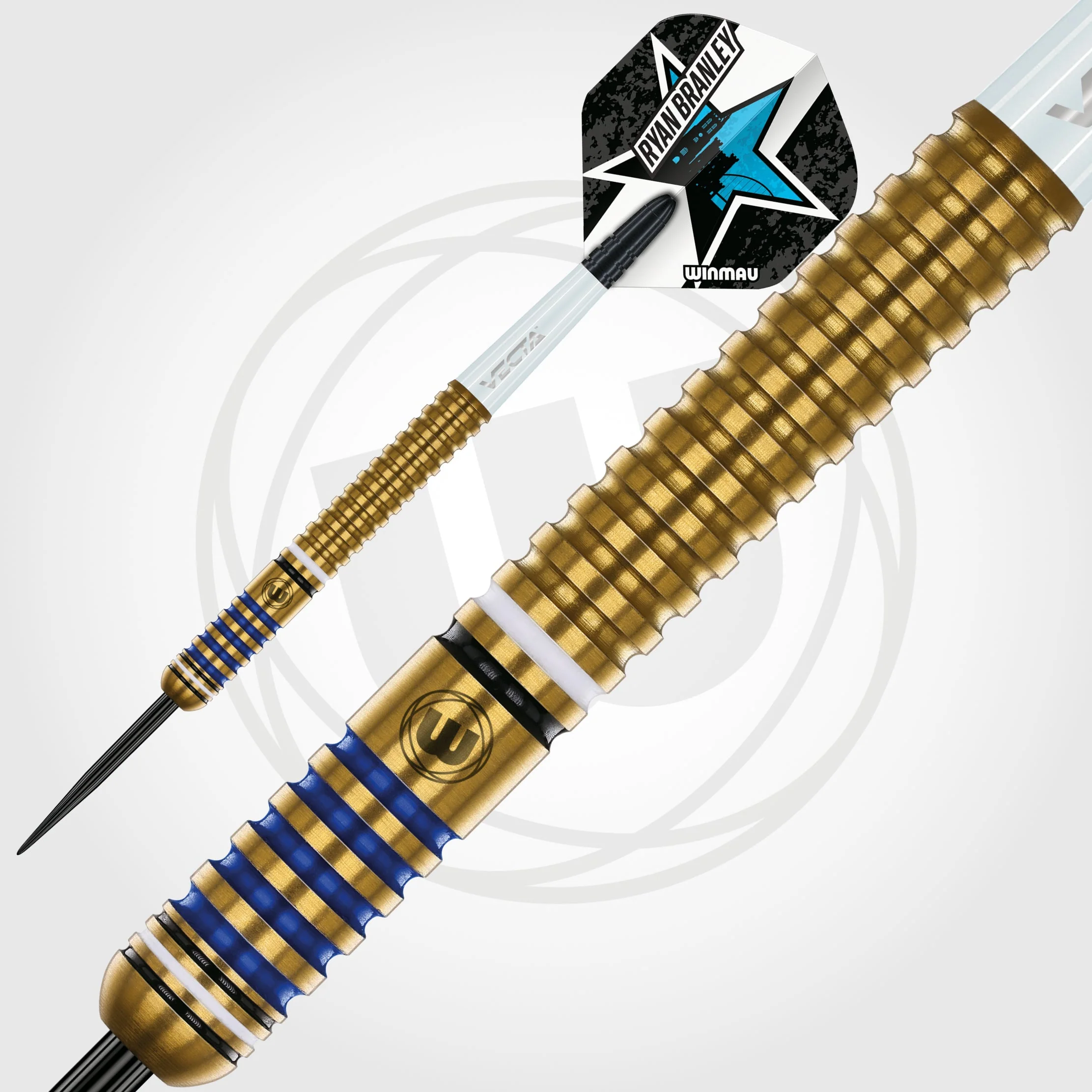 Ryan Branley Darts - Image 5